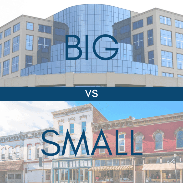 big or small business which is right for you